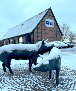 GFS Eberfiguren Schnee