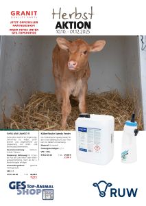 2025 10 Herbstaktion Rind S1