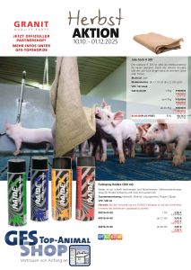 2025 10 Herbstaktion Schwein S1