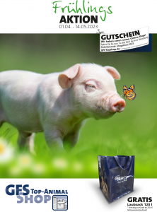 2023 Frühlingsaktion Schwein