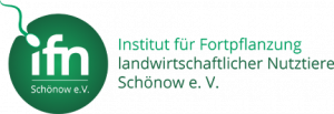 Ifn Logo