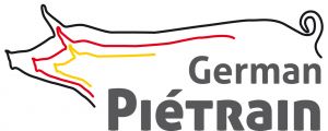 German Pietrain