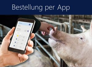 Bestellung Per APP