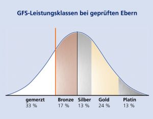 Leistungsklassen Kurve