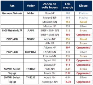 Ongelijke Broers