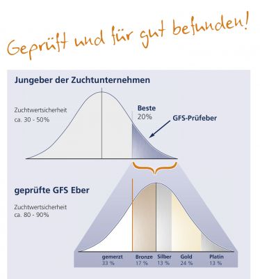 Zuchtwertsicherheit