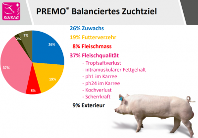 Premo Eber Balanciertes Zuchtziel