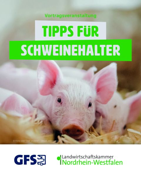 FB71 LWK GFS SocialMedia