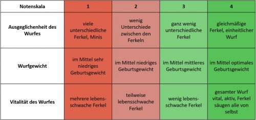 Assessment scale