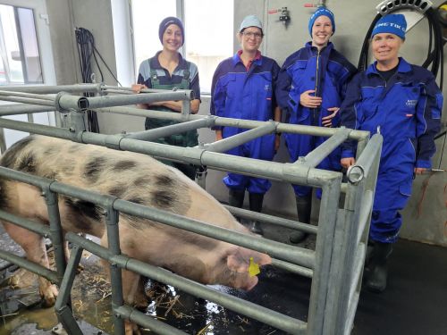 Elisabeth Fischer (Bayerngenetik), Christiane Bohm (Bayerngenetik), Dr. Christin Selige (Suisag), und Dr. Anja Riesenbeck (GFS)