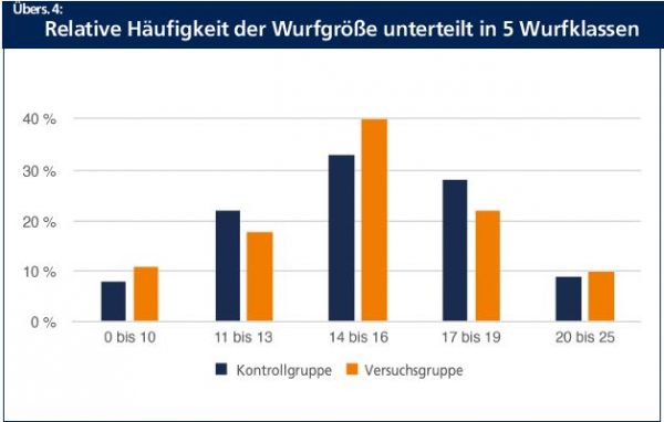 Übersicht 4 GFS Unterstützt Bachelorarbeiten