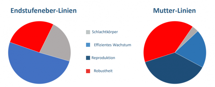 Neue Indexzusammensetzung für die PIC-Mutter- und Vaterlinien